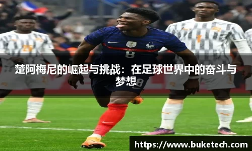  芒果体育官方app下载